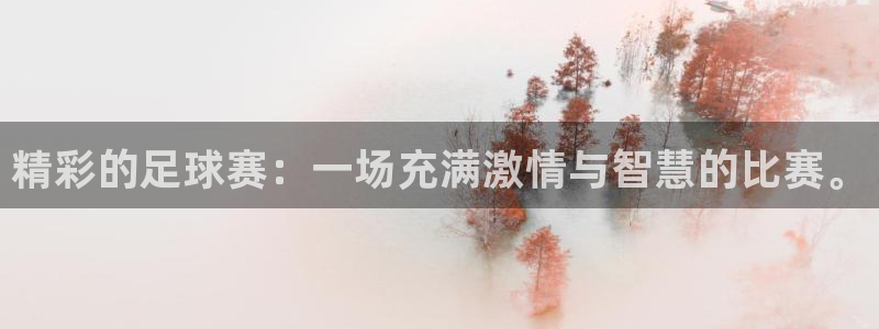 精彩的足球赛：一场充满激情与智慧的比赛。