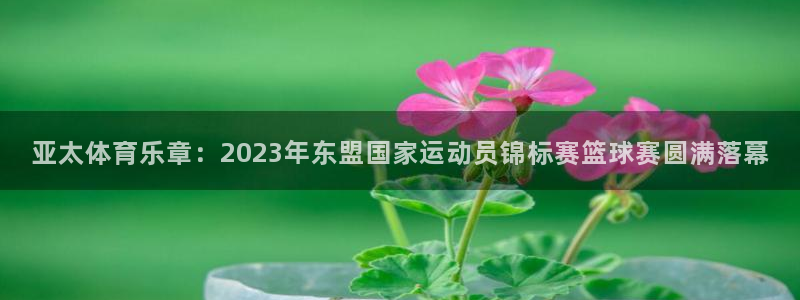 亚太体育乐章：2023年东盟国家运动员锦标赛篮球赛圆满落幕