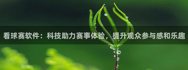  江南jn体育官网：看球赛软件：科技助力赛事体验，提升观众参与