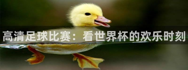  jn江南体育：高清足球比赛：看世界杯的欢乐时刻