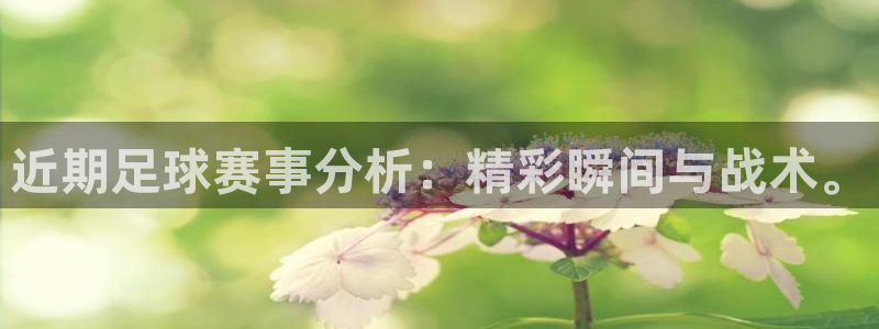 江南jnsport体育：近期足球赛事分析：精彩瞬间与战术。