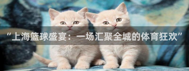  江南jn体育网页版：“上海篮球盛宴：一场汇聚全城的体育狂欢”