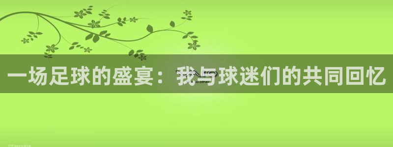 江南娱乐jn平台下载：一场足球的盛宴：我与球迷们的共同回忆