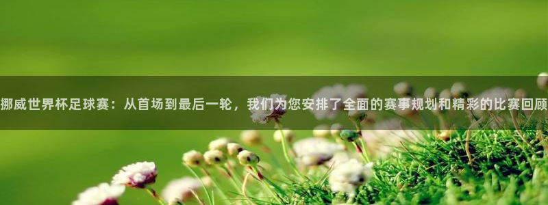 jn江南·体育网页版：挪威世界杯足球赛：从首场到最后一轮，我