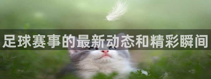  江南jn体育：足球赛事的最新动态和精彩瞬间