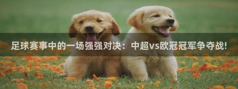  jn江南体育：足球赛事中的一场强强对决：中超vs欧冠冠军争夺